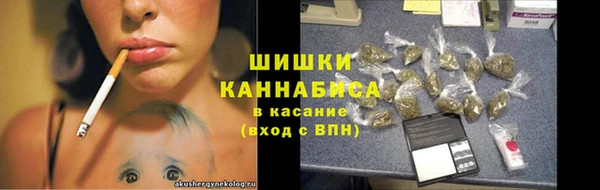 индика Рославль