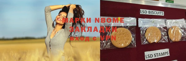 индика Рославль