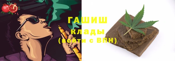 индика Рославль