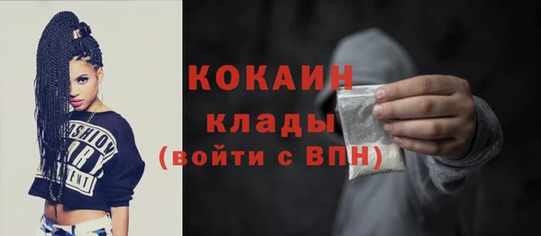 индика Рославль