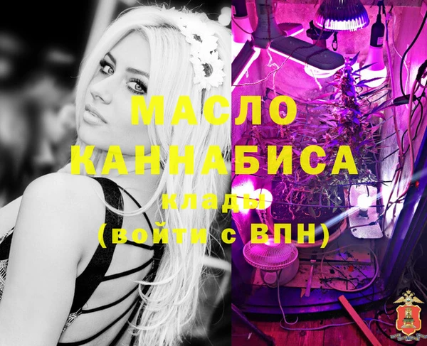 индика Рославль