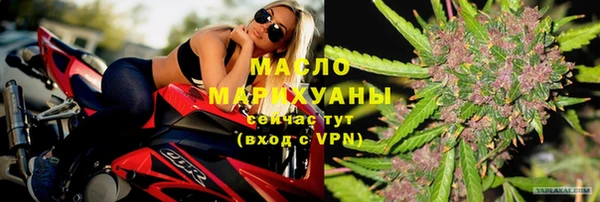 индика Рославль
