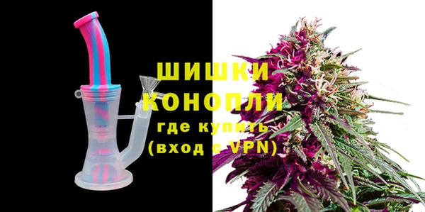 индика Рославль