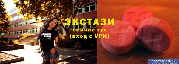 индика Рославль